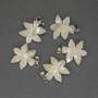 Pendentif en nacre Feuille 27×18 mm ± métal argenté