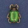 Broche «Scarabée» émail vert, strass noirs, métal doré 23×31 mm+
