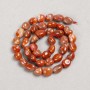 Perles sur fil en cornaline galetées, diamètre 8×10 mm +