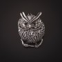 Broche chouette à strass blancs argentés 3,5 cm